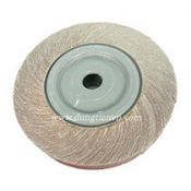 Các Loại Nhám Khác